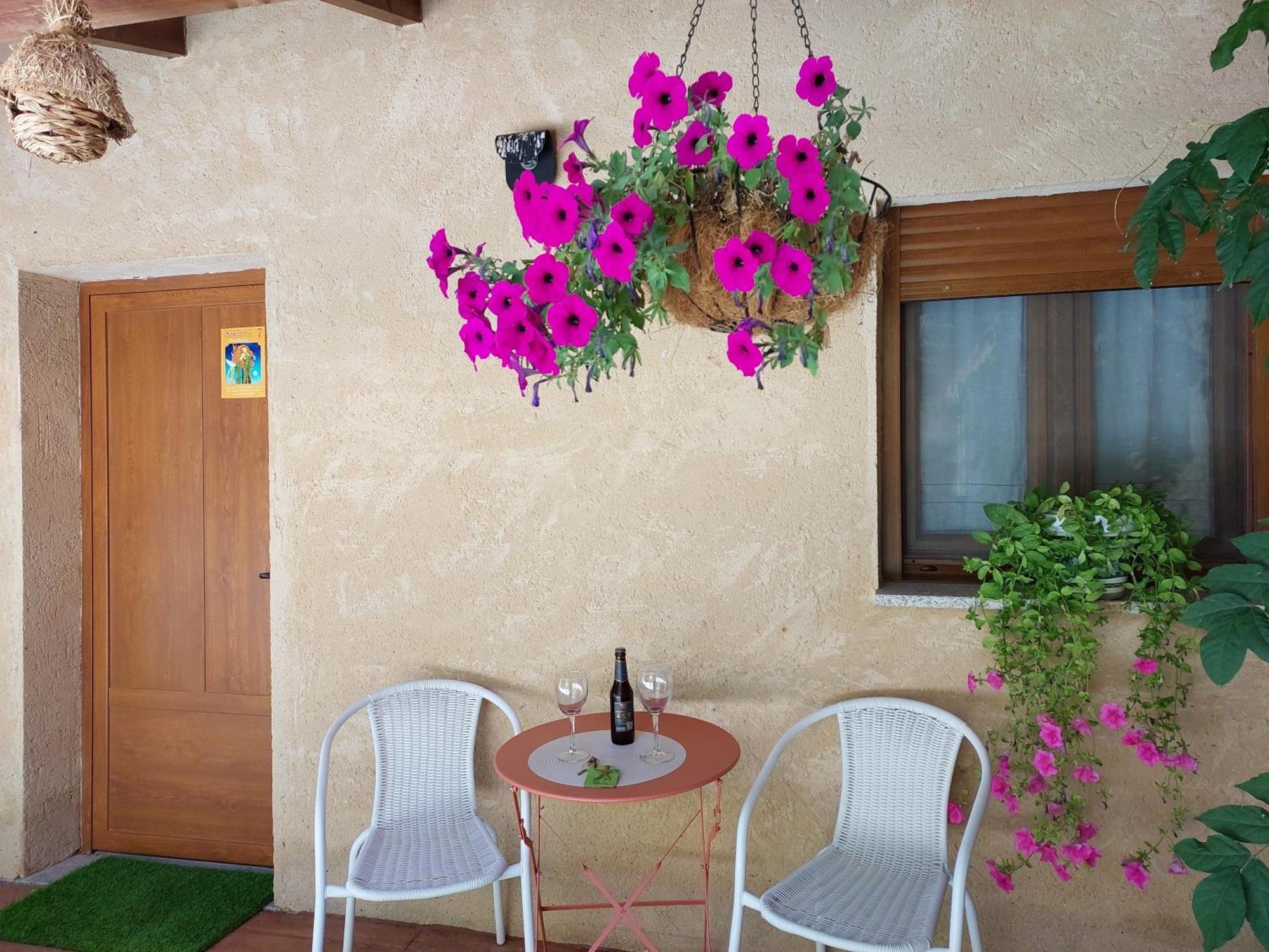 Casa Atenea Самора Екстер'єр фото